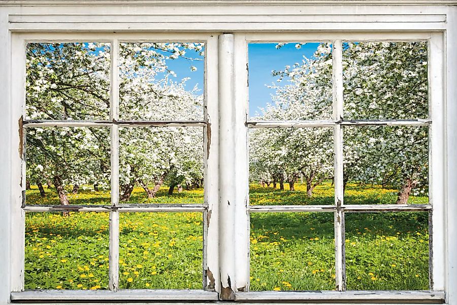 queence Leinwandbild "Apfelbäume", Bäume-Natur-Wiesen & Bäume-Fensterblick, günstig online kaufen