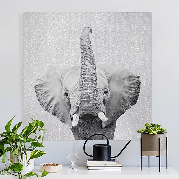 Leinwandbild Elefant Ewald Schwarz Weiß günstig online kaufen