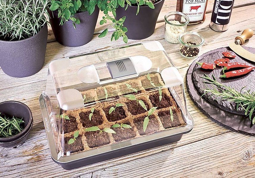 BURI Gewächshaus Gewächshaus Komplett Set Mini Zimmergewächshaus Anzucht Tr günstig online kaufen