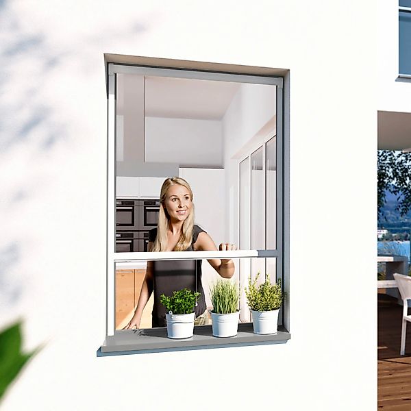 Windhager Insektenschutzrollo "PLUS" transparent BxH: 130x160 cm günstig online kaufen