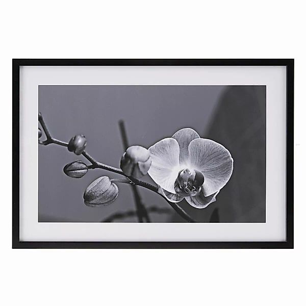 Leinwand Orchidee 65 X 2 X 95 Cm Blume günstig online kaufen