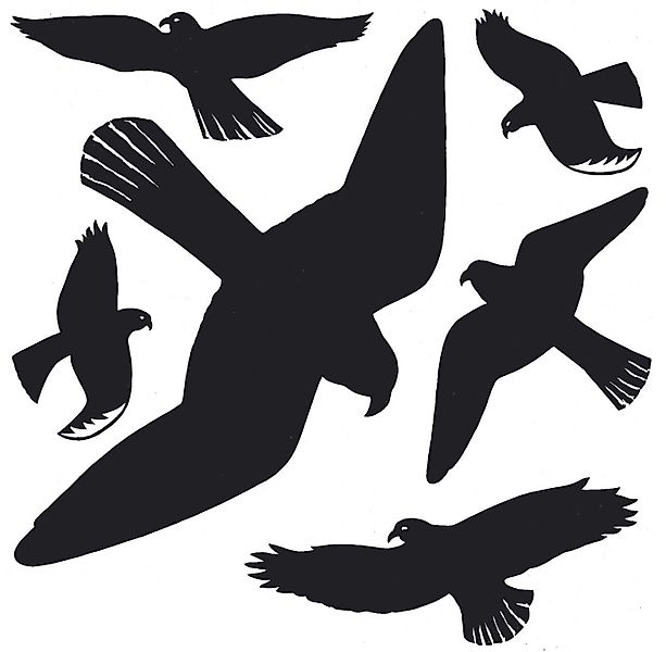 HERMA Fensterbild Herma 5999 Fensterbilder Warnvögel 30x30 cm günstig online kaufen