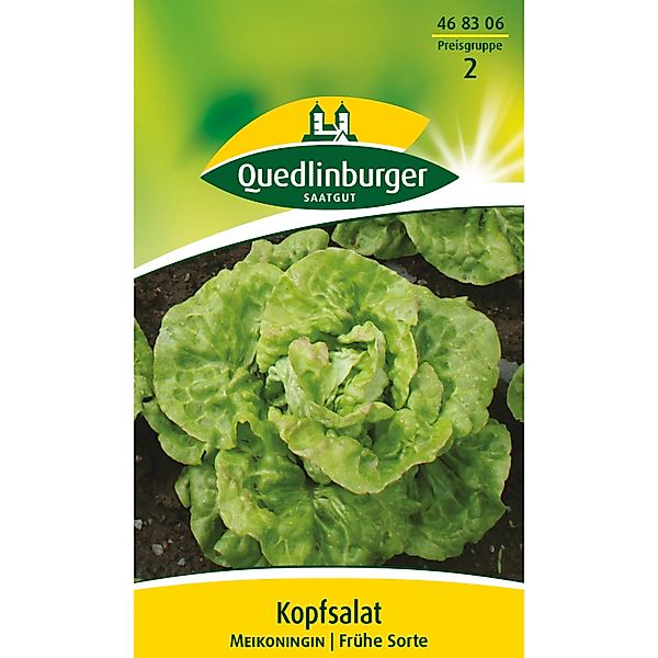 Quedlinburger Kopf Salat ''Meikoningin'' günstig online kaufen