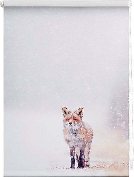 Seitenzugrollo Klemmfix Motiv Fuchs im Schnee, LICHTBLICK ORIGINAL, Lichtsc günstig online kaufen