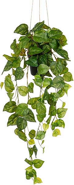 Creativ green Kunstpflanze "Hängender Philodendron hederaceum", mit üppigen günstig online kaufen