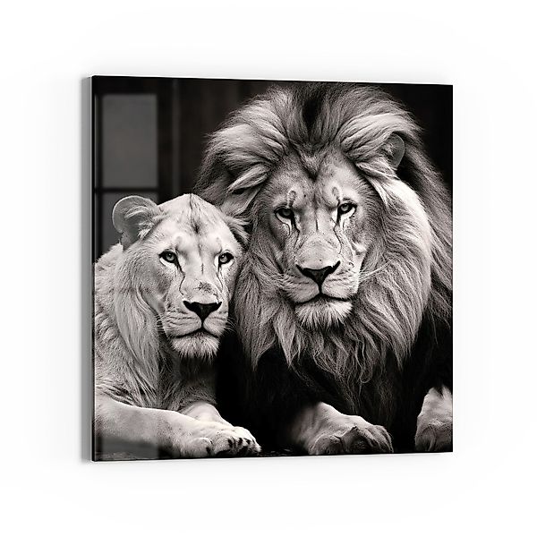 DEQORI Glasbild 'Stolzes Löwenpaar', 'Stolzes Löwenpaar', günstig online kaufen