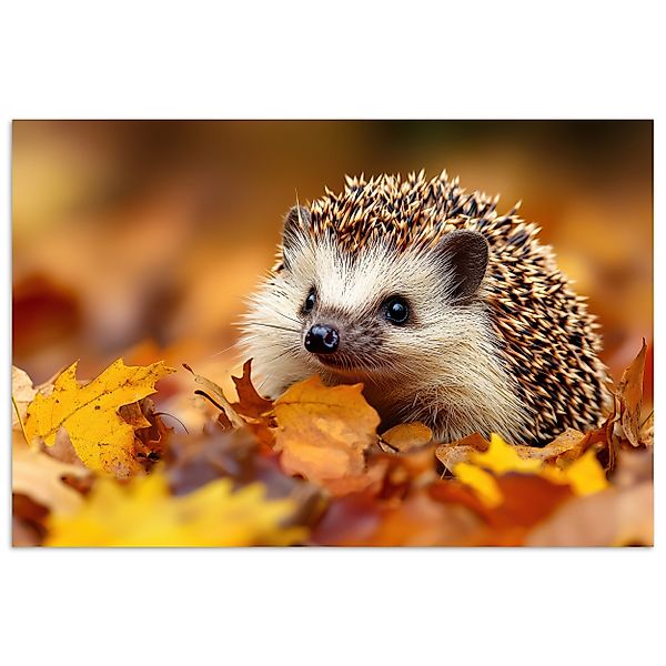 MuchoWow Poster Igel - Wald - günstig online kaufen