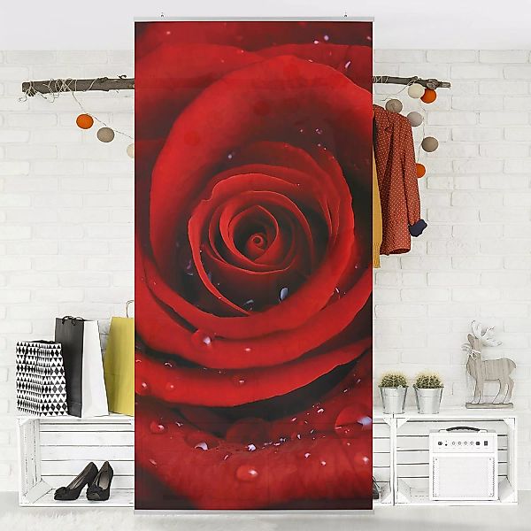 home24 Raumteiler Rote Rose mit Wassertropfen günstig online kaufen