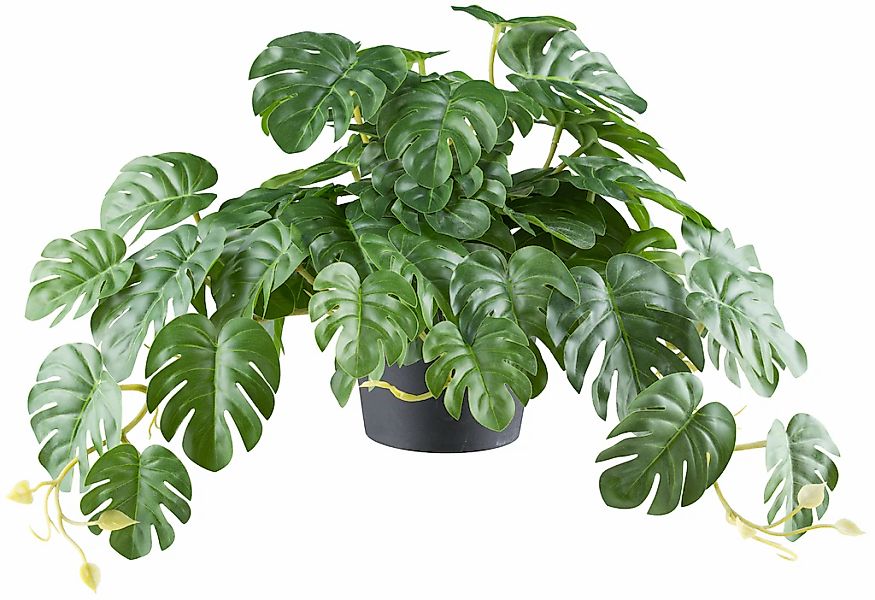 Creativ green Kunstpflanze "Splitphilodendron", mit naturgetreuem Blattwerk günstig online kaufen