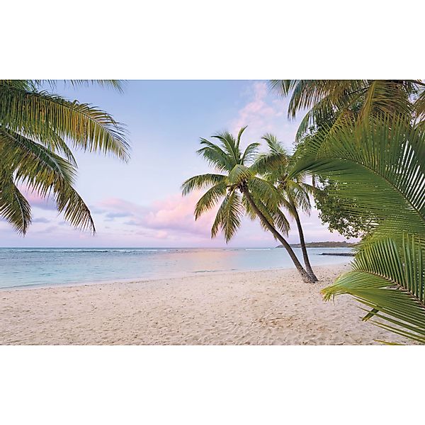 Komar Fototapete Vlies Paradise Morning  400 x 250 cm günstig online kaufen