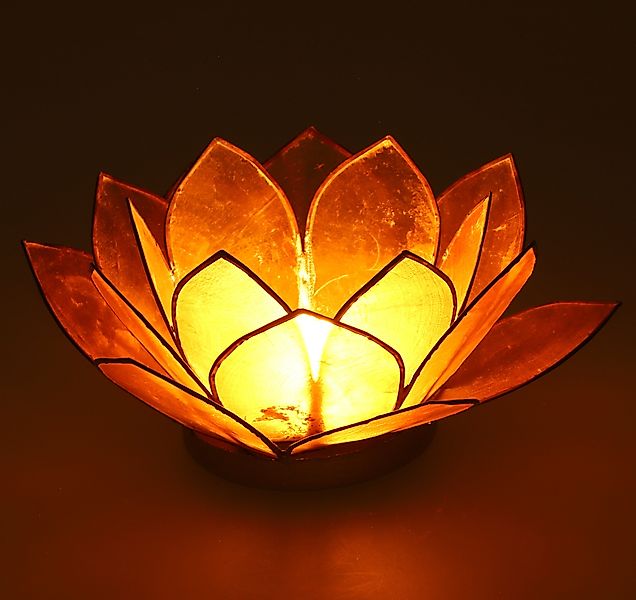 Guru-Shop Windlicht Lotus Teelicht Muschel 14*6 günstig online kaufen