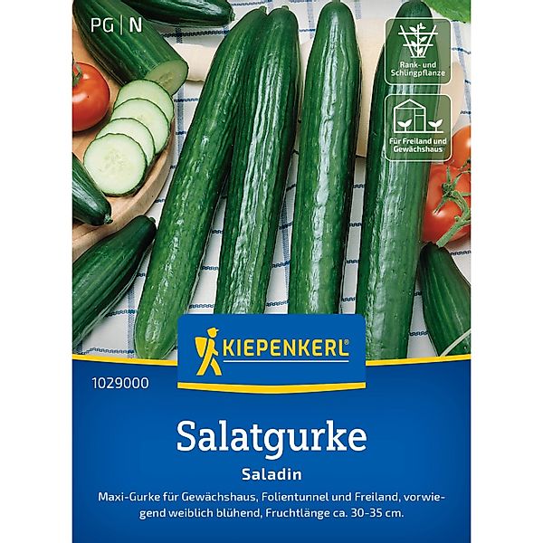 Kiepenkerl Salatgurke Saladin günstig online kaufen