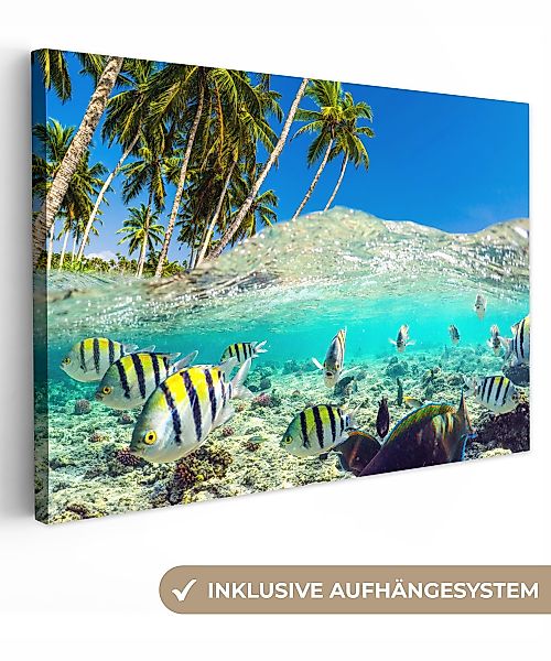OneMillionCanvasses® Leinwandbild Strand - Fische - günstig online kaufen