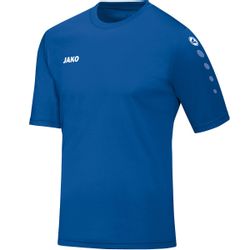 Jako Fußballtrikot 4233 Trikot Team KA günstig online kaufen