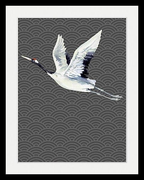queence Bild "Kranich", Vögel-Vogelbilder-Tiere, HD Premium Poster-Druck in günstig online kaufen