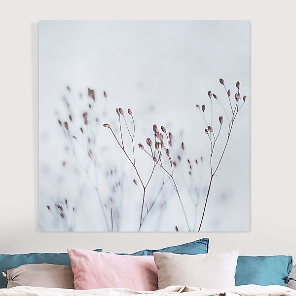 Leinwandbild Zartblaue Wildblumen günstig online kaufen