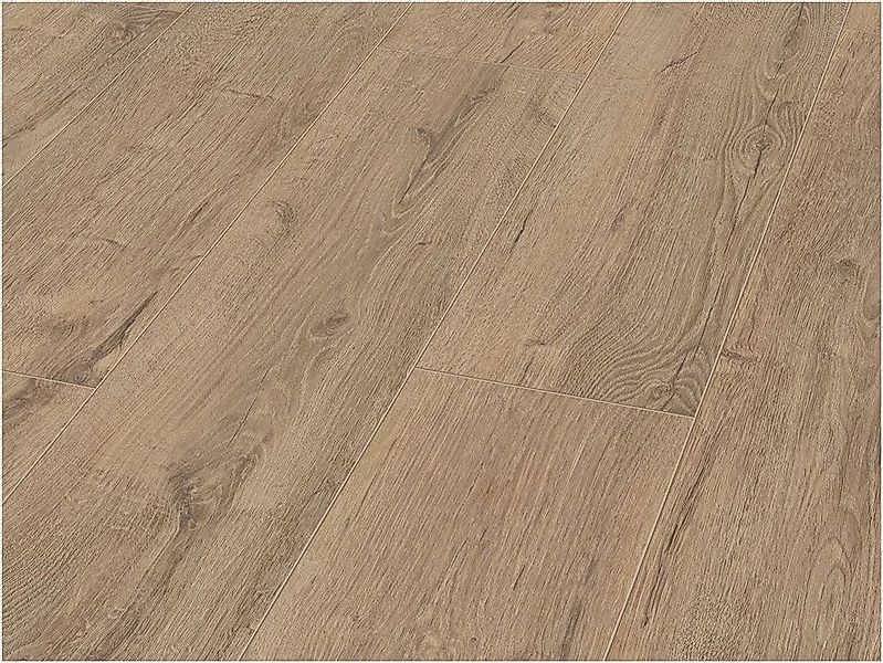 JANGAL Laminat Laminat Jangal 8200 Gobi günstig online kaufen