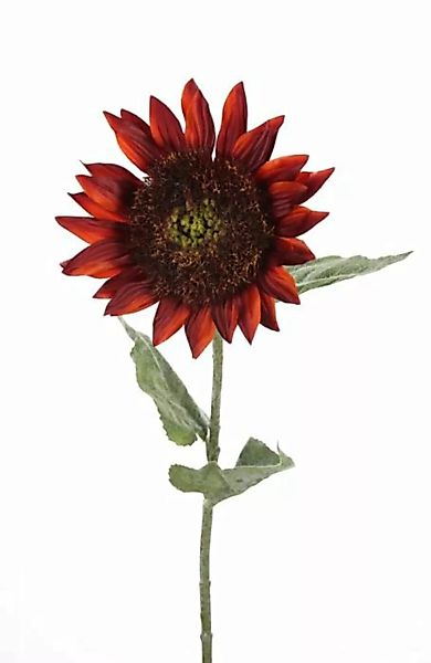 Flower & Style Kunstpflanzen & -blumen Sonnenblume Girasole samtrot 72 cm ( günstig online kaufen