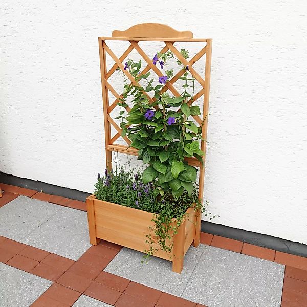 promadino Spalier, mit Pflanzkasten, BxTxH: 69x32x140 cm günstig online kaufen