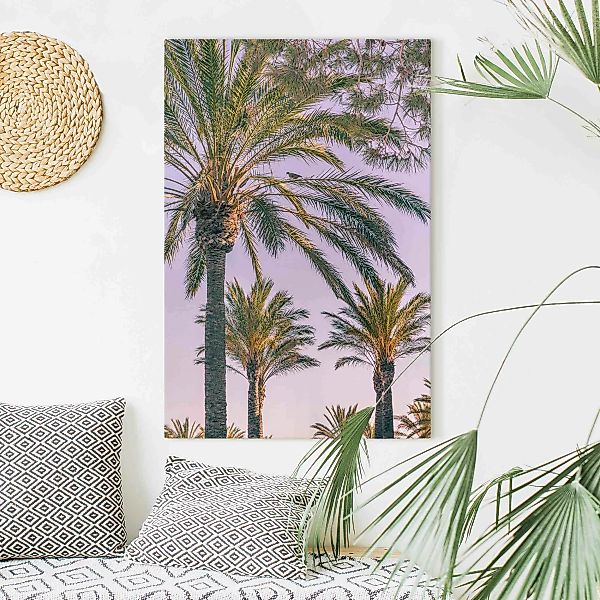 Leinwandbild Palmen im Sonnenuntergang günstig online kaufen
