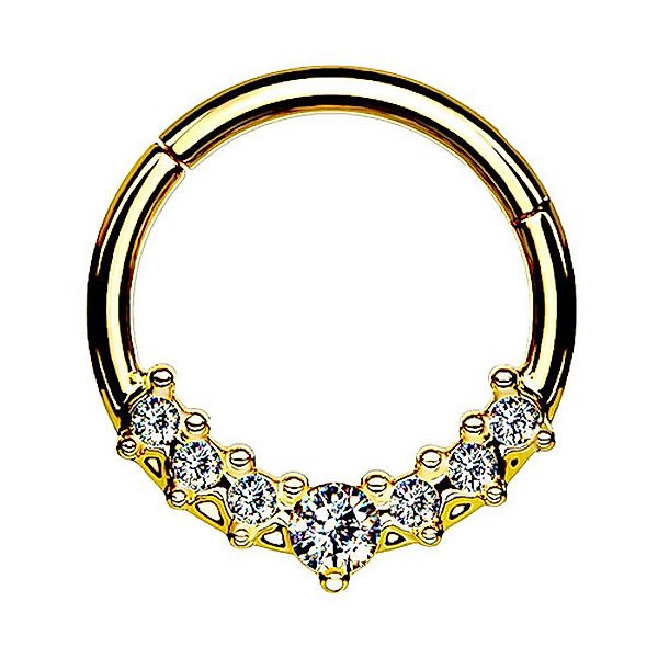 Taffstyle Nasenpiercing Septum Piercing Ring Segmentring günstig online kaufen