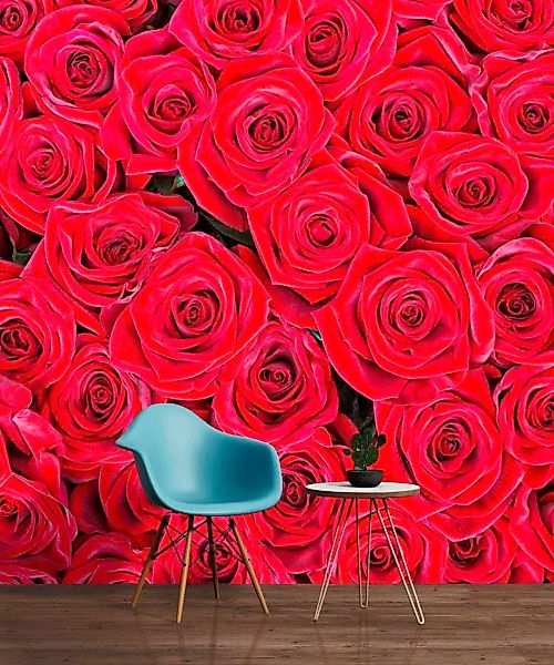 Fototapete "Rote Rosen" 4,00x2,50 m / Glattvlies Brillant günstig online kaufen