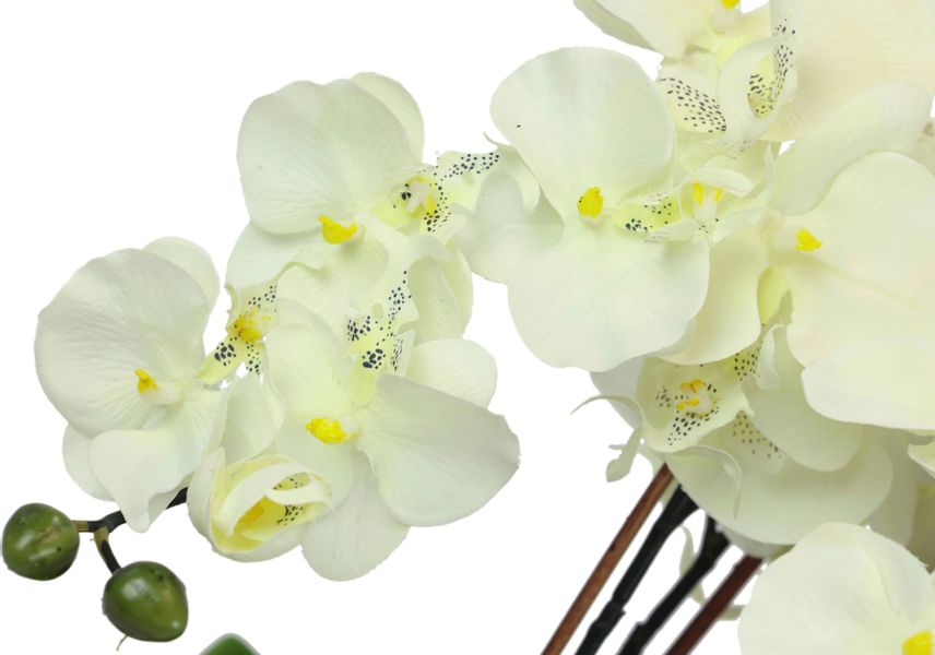 Kunstblume Künstliche Orchidee in Schale Phalaenopsis günstig online kaufen