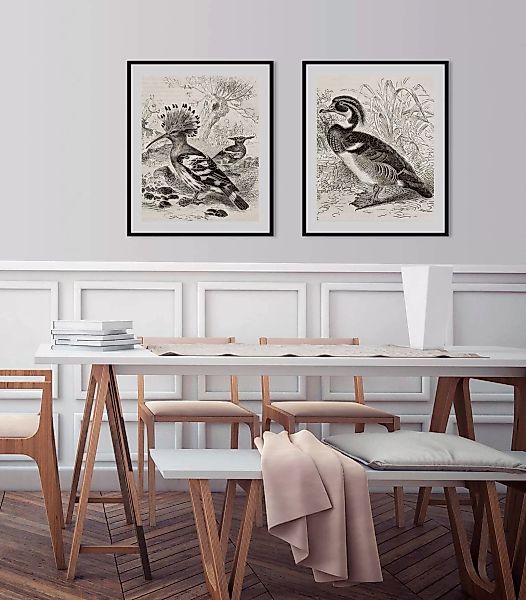 queence Bild "Donald", Vögel-Vogelbilder-historische Ereignisse-Kunst, (1 S günstig online kaufen