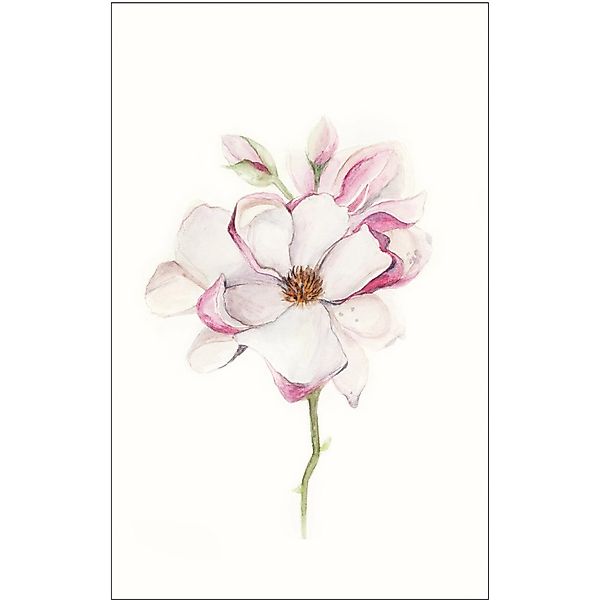 Komar Bild »Magnolia Blossom« Blumen 1 Stk. tlg. Wandbild zur Dekoration - günstig online kaufen