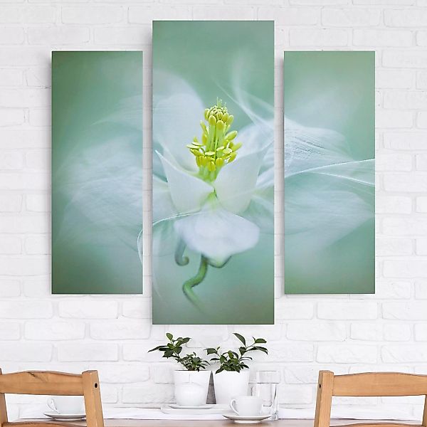 3-teiliges Leinwandbild Blumen - Querformat Weiße Akelei günstig online kaufen