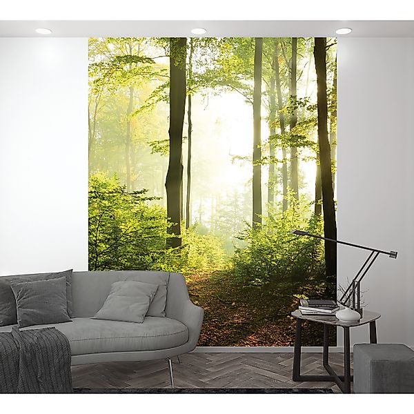 Marburg Fototapete Holz  Wald moderne Tapete für Wohnzimmer Schlafzimmer Kü günstig online kaufen