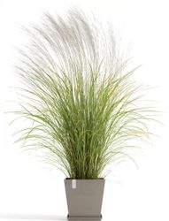 ECOPOTS Blumentopf Rotterdam 35 + Wassersystem günstig online kaufen