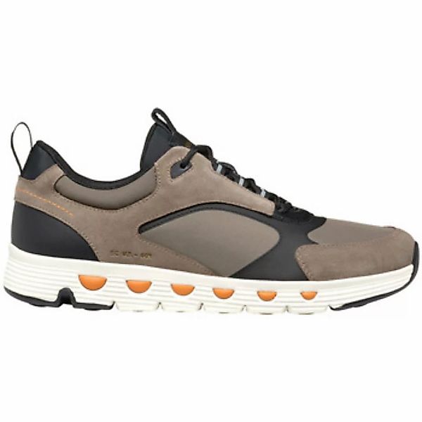 Geox  Sneaker U Spherica Ecub-4 sneaker günstig online kaufen