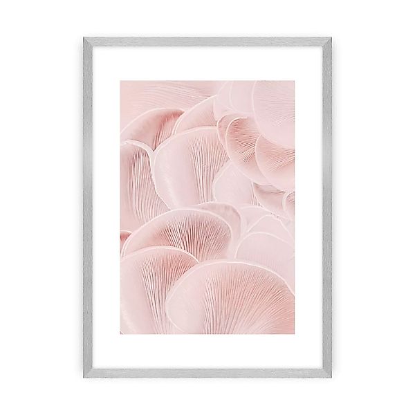 Poster Pastel Pink I, 50 x 70 cm , Ramka: Srebrna günstig online kaufen
