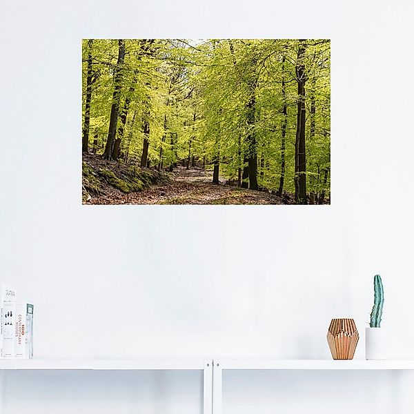 Artland Wandbild "Die Buchen im Frühling", Wald, (1 St.), als Alubild, Outd günstig online kaufen