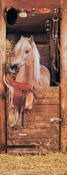 Papermoon Fototapete Horse in Stable - günstig online kaufen