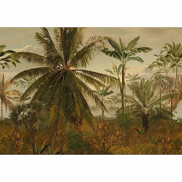 LOOKS by Wolfgang Joop Fototapete Vlies Junglemorningsun 2,7 m x 3,5 m FSC® günstig online kaufen