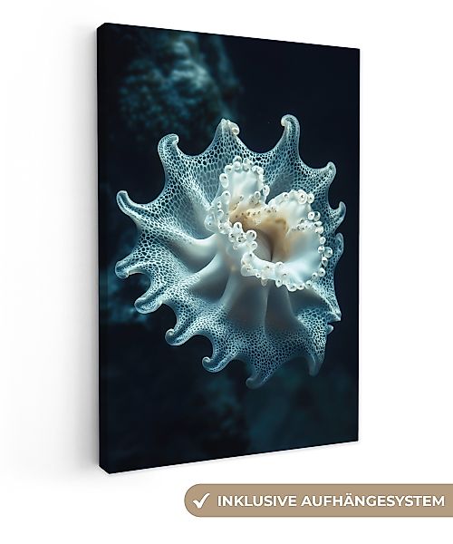 OneMillionCanvasses® Leinwandbild Meerestier - Weiß - günstig online kaufen