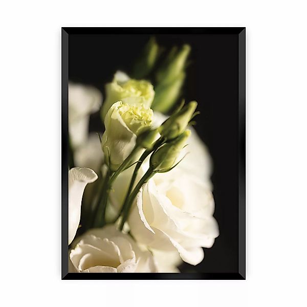 Poster Dark Flowers, 21 x  30 cm, Rahmen wählen: schwarz günstig online kaufen