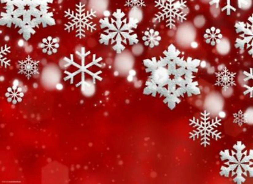 tischsetmacher Tischset Platzsets abwaschbar - Weihnachten - Weisse Schneek günstig online kaufen