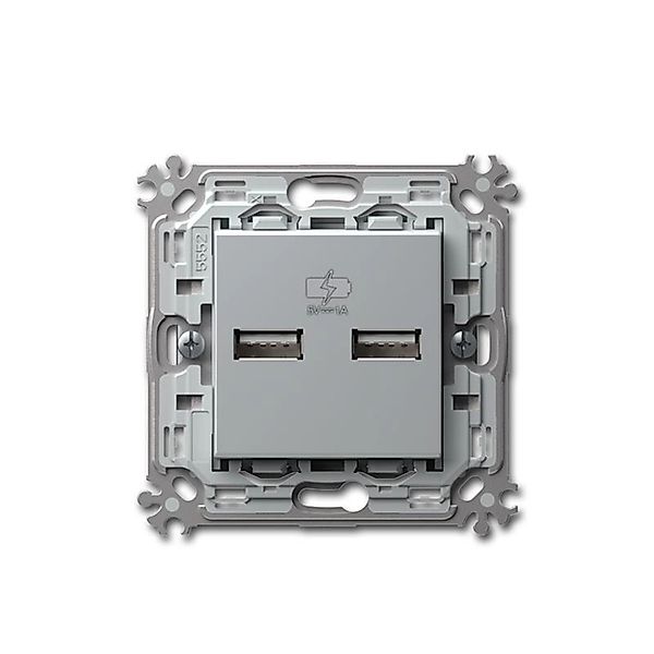 TEM MODUL PLUS 2-Fach USB Ladesteckdose Silber 5V1A günstig online kaufen