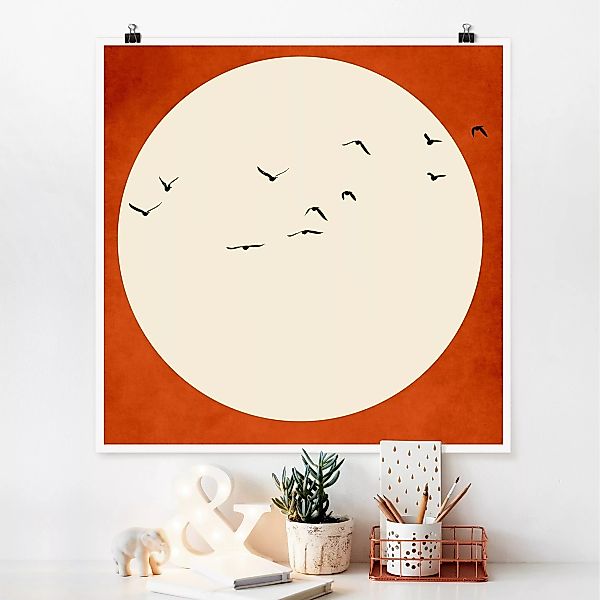 Poster Vogelschwarm im Abendrot günstig online kaufen