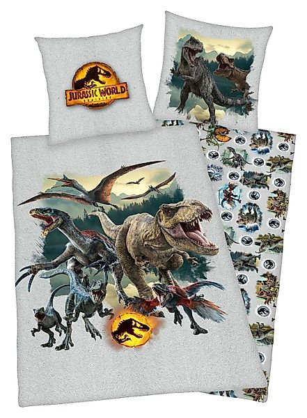 Bettwäsche Renforce-Wendebettwäsche JURASSIC WORLD, Baumwolle, 2 günstig online kaufen