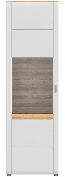 INOSIGN Standvitrine »Aska, Höhe 202cm, Metallgriff, 1 Glastür, 1 Glaseinle günstig online kaufen