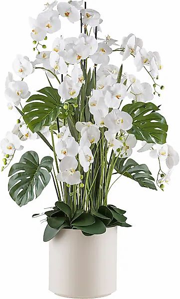 Creativ green Kunstorchidee »Orchidee Phalaenopsis« mit Gräsern und Splitph günstig online kaufen