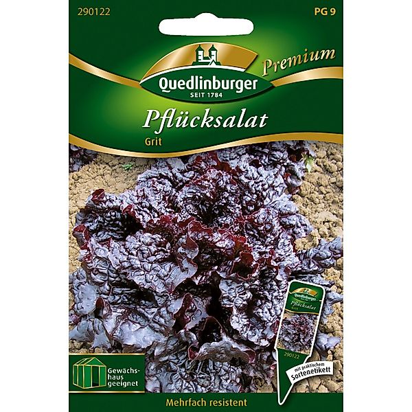 Quedlinburger Pflücksalat Grit Loses Saatgut günstig online kaufen