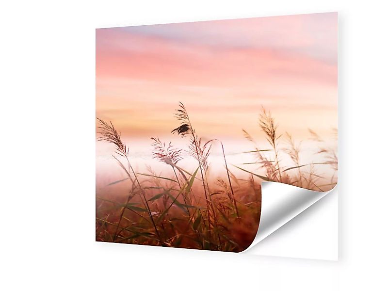 Foto auf Klebefolie im Format 20 x 20 cm quadratisch im Format 20 x 20 cm günstig online kaufen