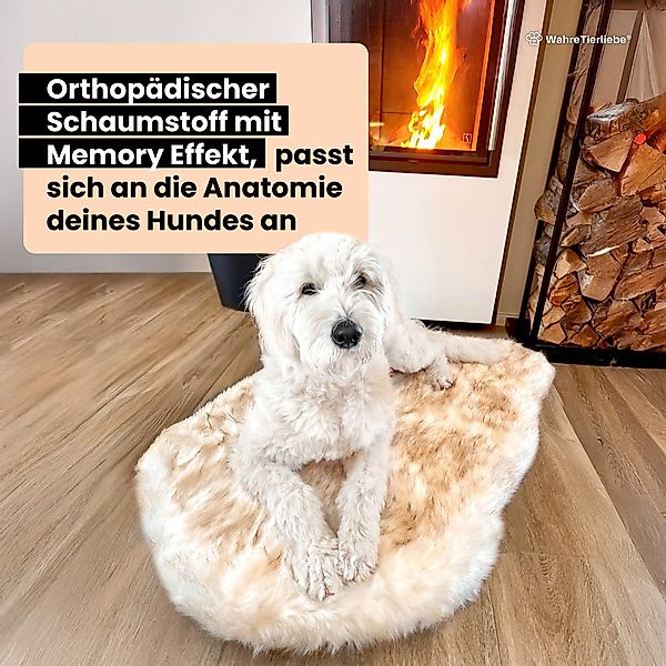 Wahre Tierliebe Tierbett Orthopädisches Hundebett Relax, Kissen mit echter günstig online kaufen