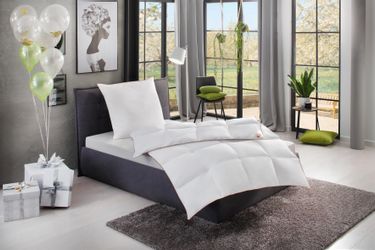 RIBECO Gänsedaunenbettdecke + Kopfkissen "Kalle" pflegeleicht günstig online kaufen