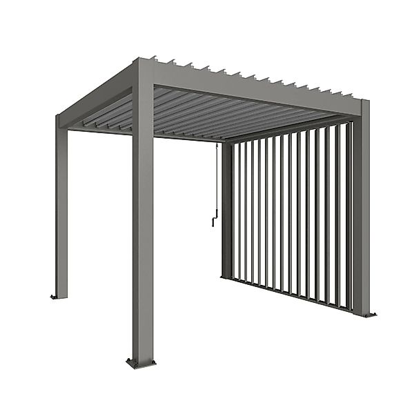 Biohort Pavillonseitenteil "Seitenwand für 3m-Seite von Biohort-Pergola" ma günstig online kaufen